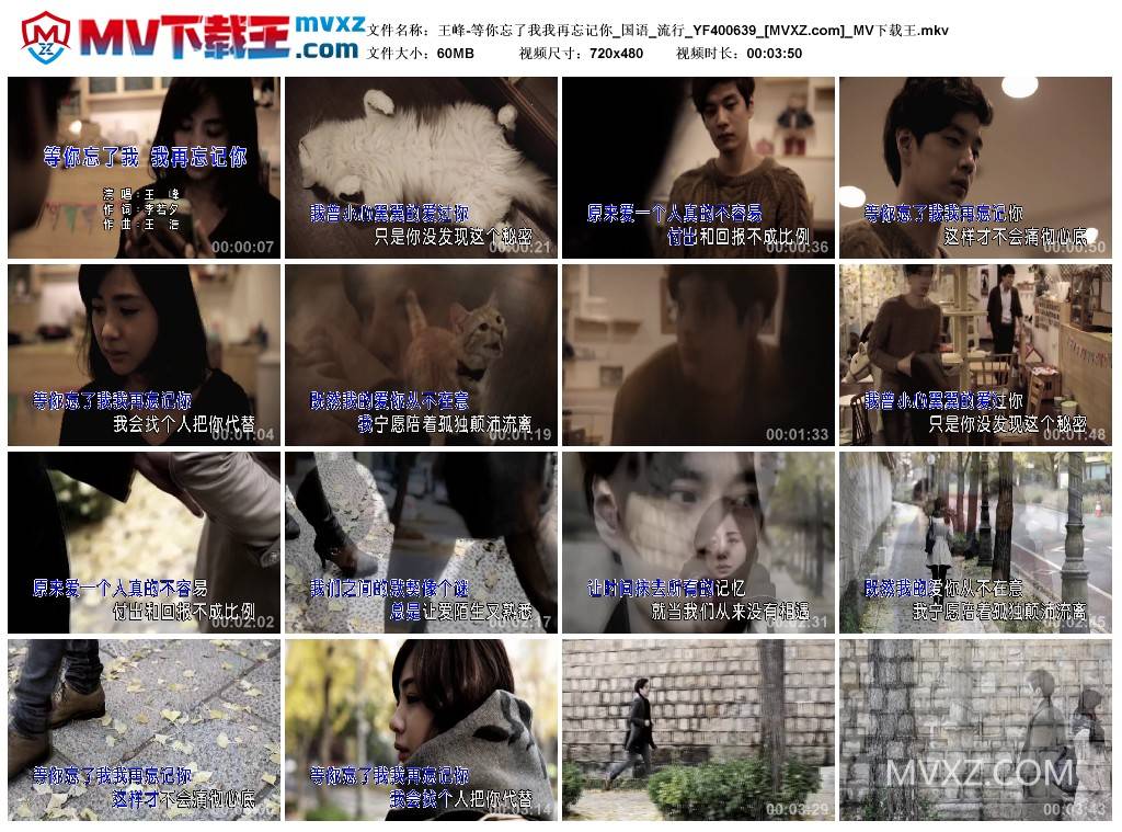 王峰-等你忘了我我再忘记你_国语_流行_YF400639